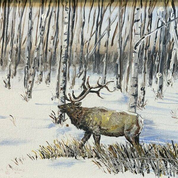 Leonard Collins Oil on Canvas Artist from Oregon Grazing Elk 8" x 10"