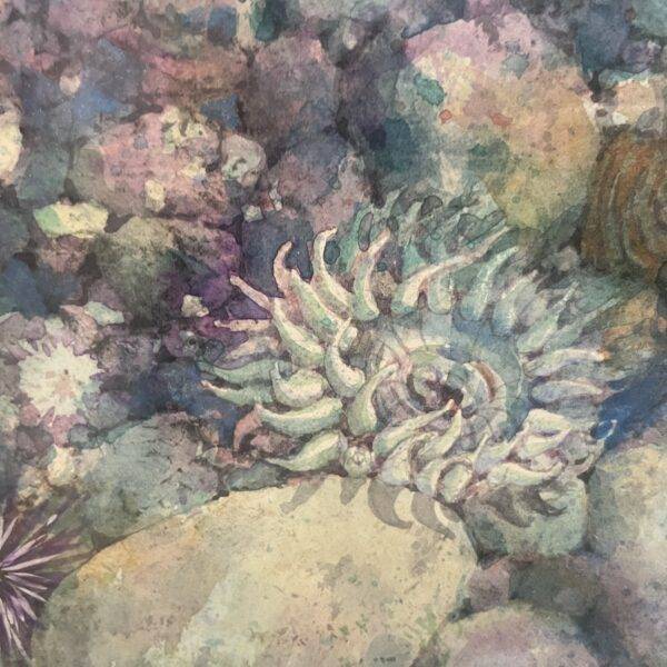 Margaret Smith Original Watercolor Urchins 18" X 48"